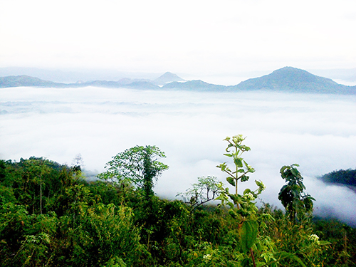 puncak-mbanyon